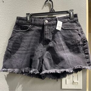 LOFT the curvy high waist cut-off denim shorts, new with tags
